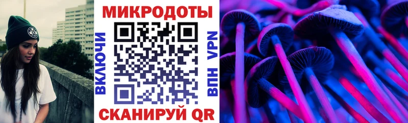 Купить  Котельнич  Псилоцибиновые грибы Psilocybe 